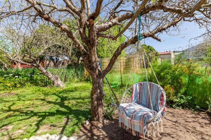 Villa Monte Frio Alpacas Nariz Exterior foto